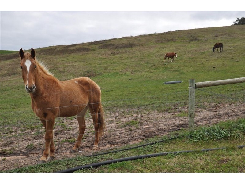 Lot 53 Stones Ford Road, Mount Compass SA 5210