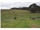 Lot 53 Stones Ford Road, Mount Compass SA 5210