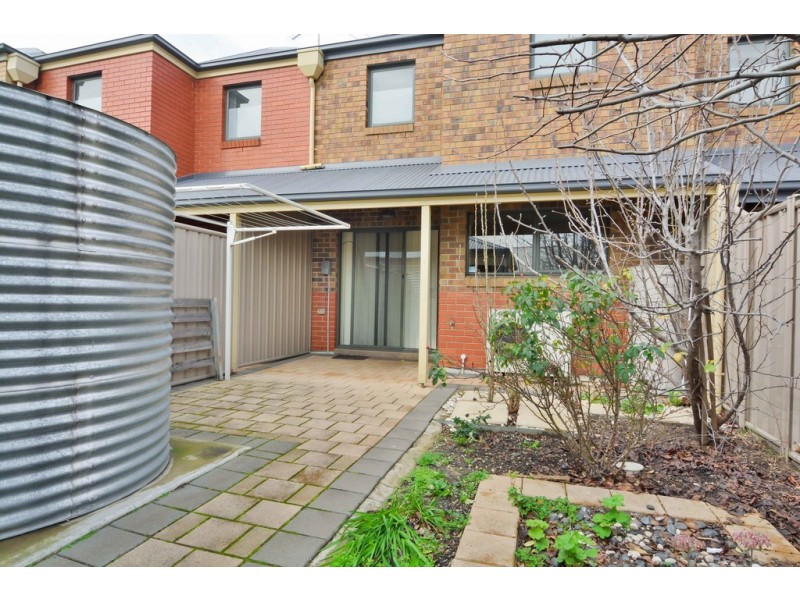 21 Frederick Street, Richmond SA 5033