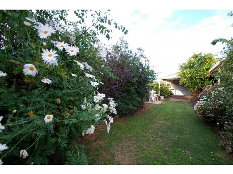 46 Allworth Drive, Happy Valley SA 5159