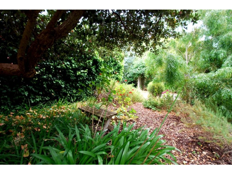 58 Coromandel Parade, Blackwood SA 5051