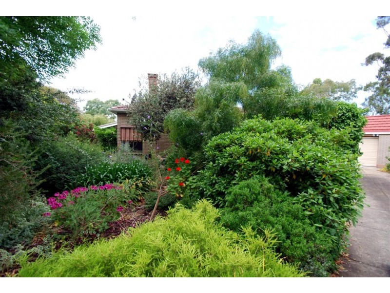 58 Coromandel Parade, Blackwood SA 5051