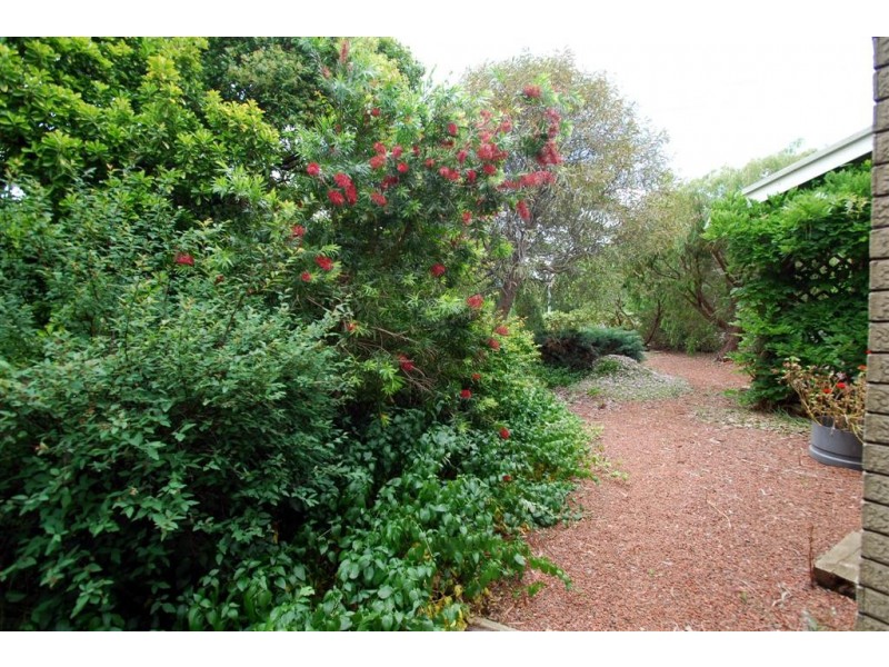 58 Coromandel Parade, Blackwood SA 5051