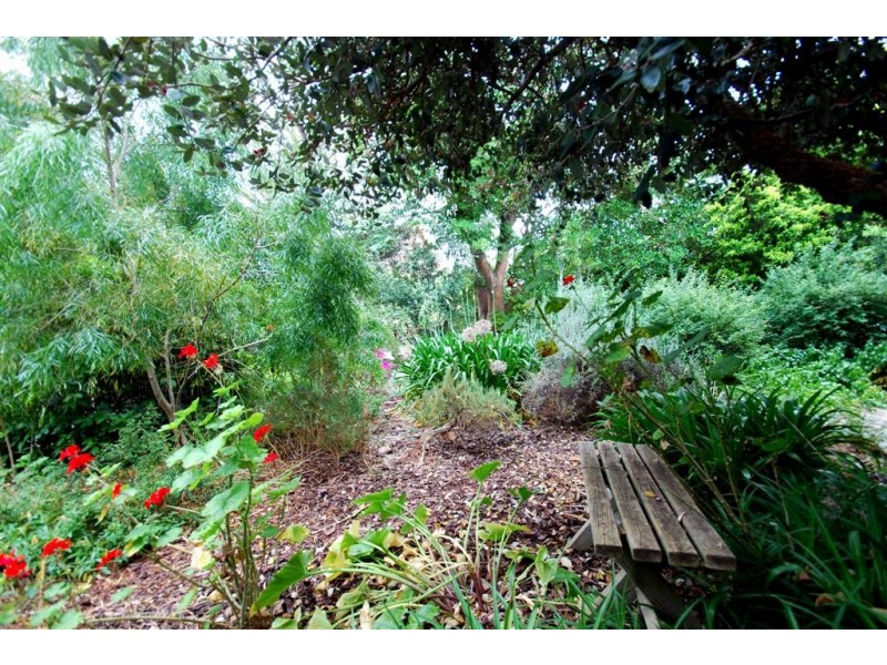 58 Coromandel Parade, Blackwood SA 5051