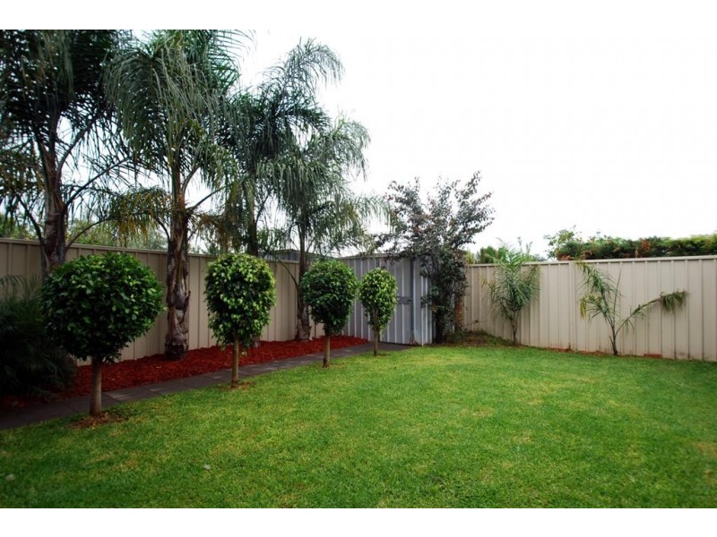 6 Burke Street, West Croydon SA 5008