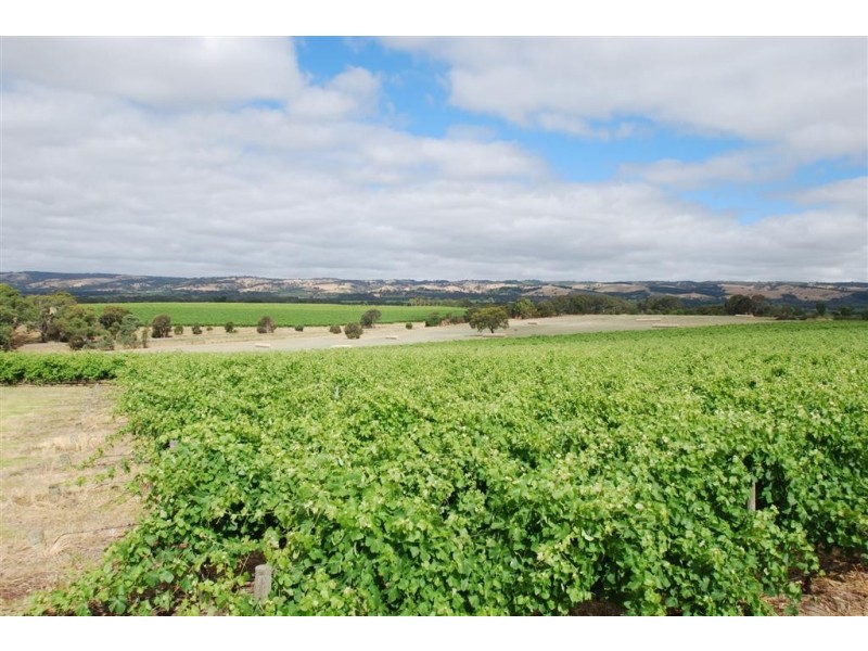 6/30 Grapevine Lane, Mclaren Vale SA 5171