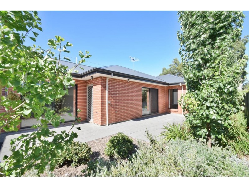 2 Don Avenue, Seacliff Park SA 5049