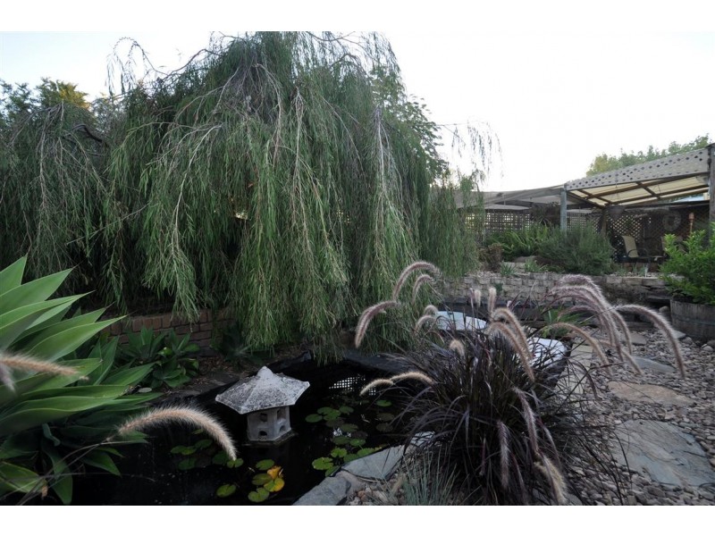 4 Meg Court, Aberfoyle Park SA 5159