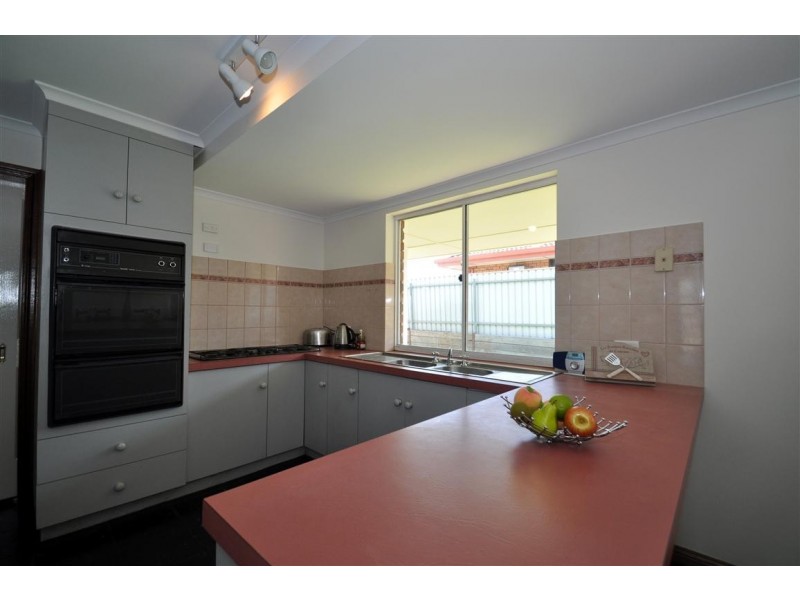 1 Camelia Court, Morphett Vale SA 5162