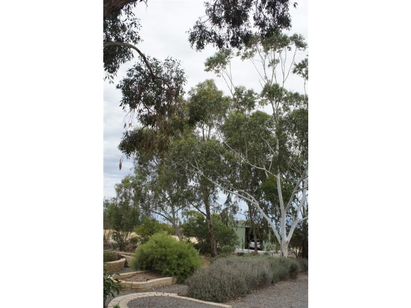 303 Upper Penneys Hill Road, Onkaparinga Hills SA 5163