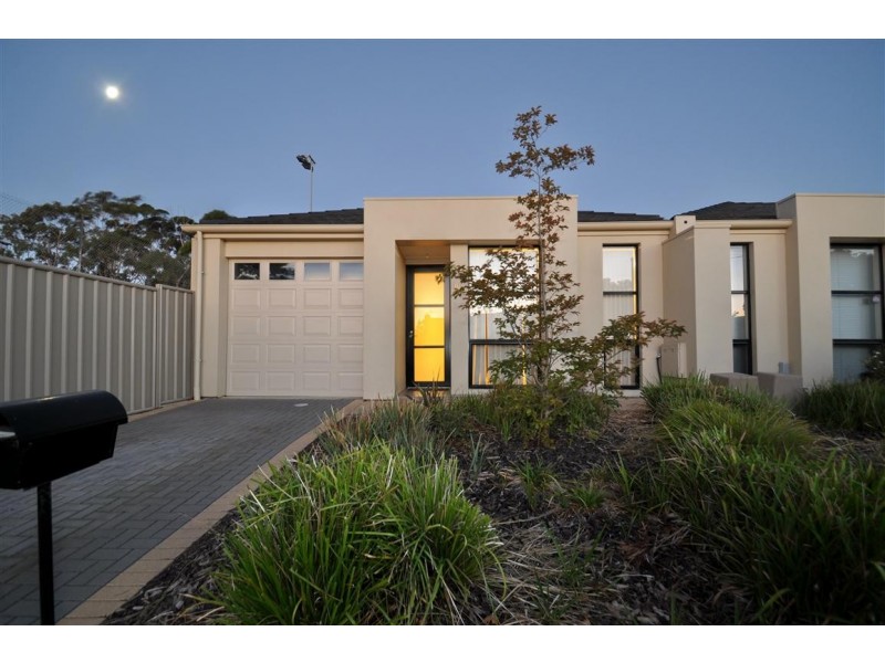 10 Ragless Avenue, Park Holme SA 5043