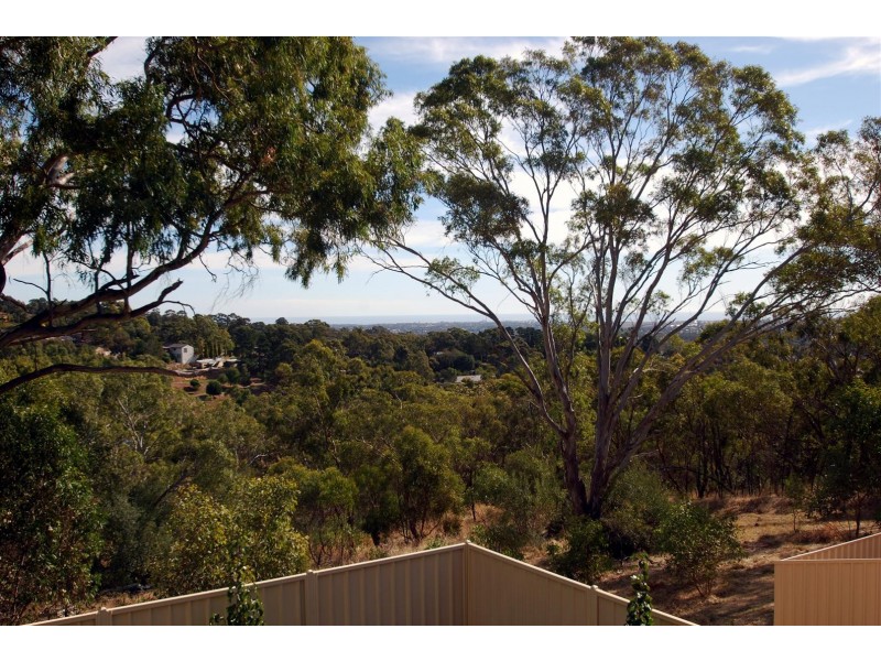 16 Grandview Court, Aberfoyle Park SA 5159