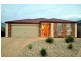 54 Parri Link, Noarlunga Downs SA 5168