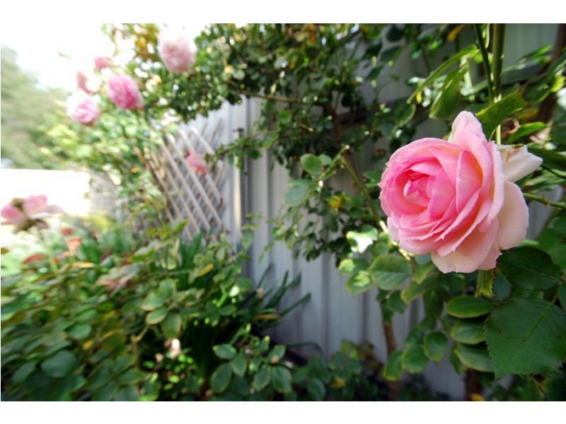 1-84 Main Road, Mclaren Vale SA 5171