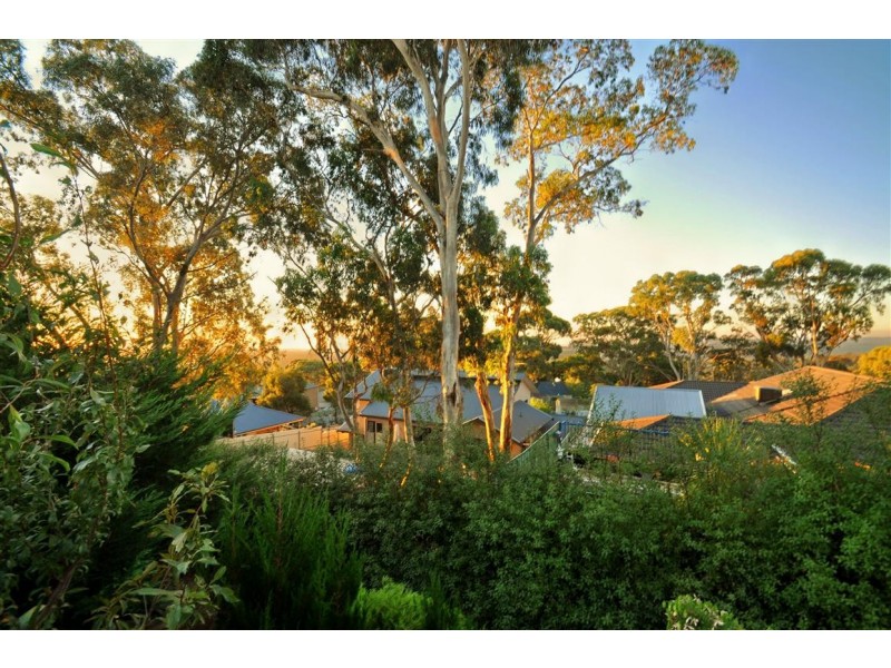 6 Treetop Rise (Chandlers Hill), Aberfoyle Park SA 5159