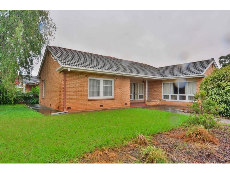 12 Lynne Court, Marion SA 5043