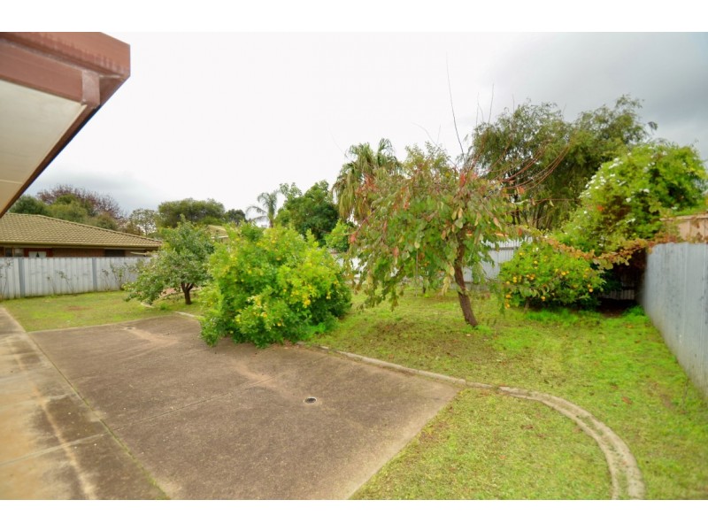 43 Idlewild Avenue, Aberfoyle Park SA 5159