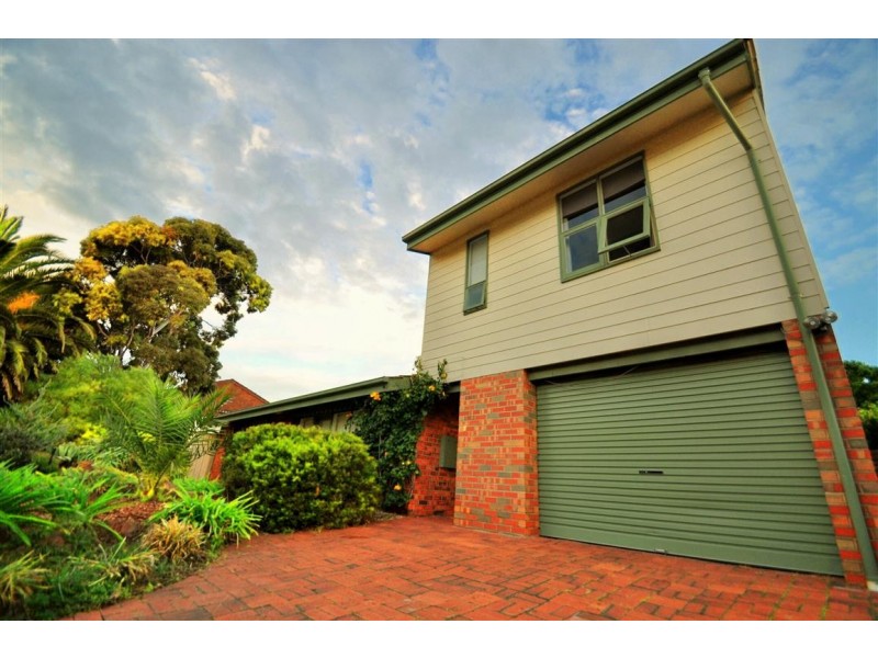 11 Ginkgo Street, Hallett Cove SA 5158