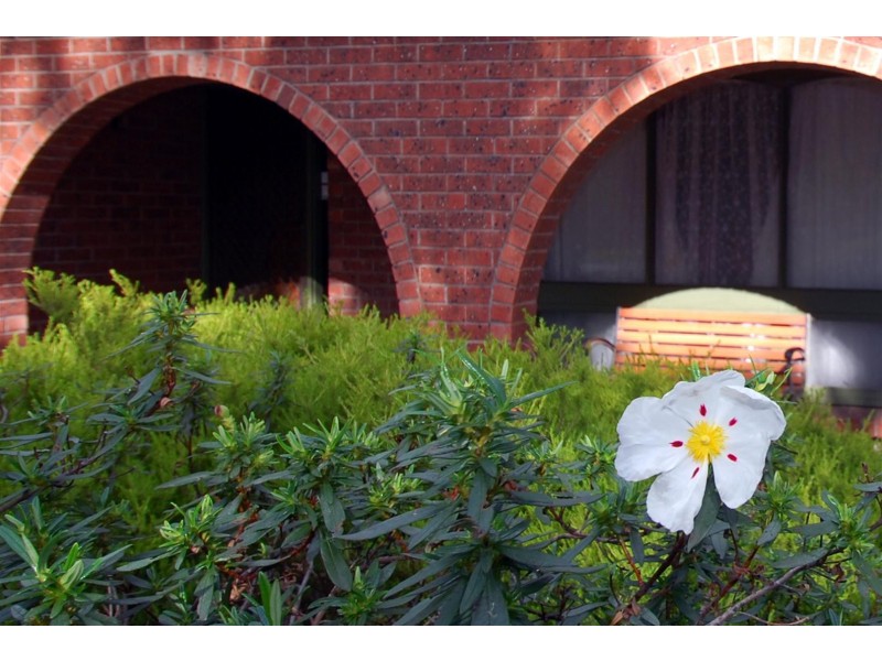 4 Booth Street, Happy Valley SA 5159