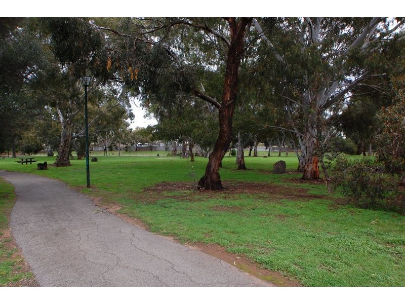 38 Maldon Avenue, Mitchell Park SA 5043