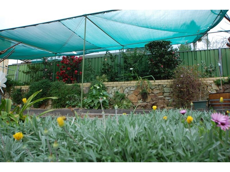 14 Thistleton Crescent, Pasadena SA 5042