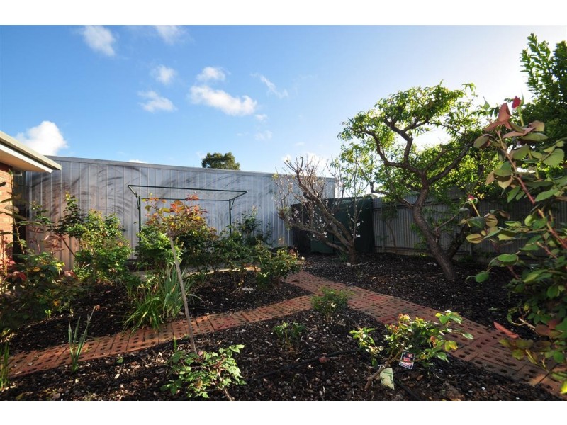 19 Thurles Street, St Marys SA 5042