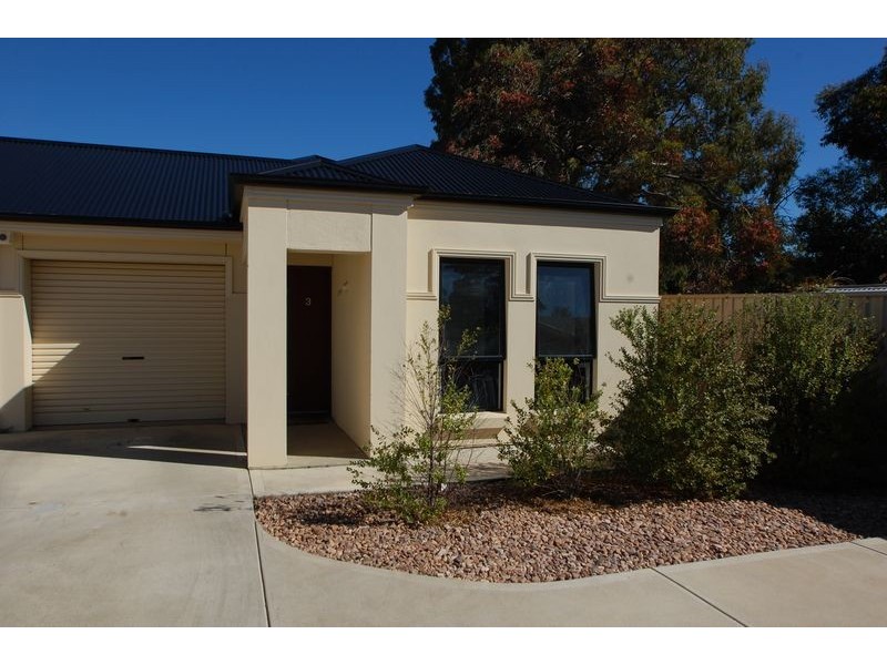 19 B Second Avenue, Ascot Park SA 5043