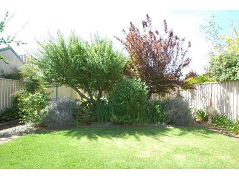 41 Frederick Street, Glengowrie SA 5044