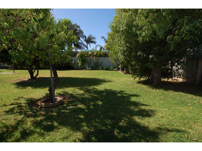 58 Seymour Terrace, Ascot Park SA 5043