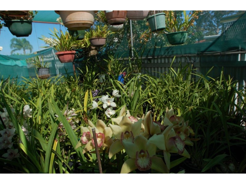 58 Seymour Terrace, Ascot Park SA 5043