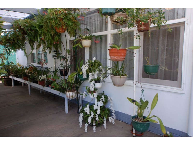 58 Seymour Terrace, Ascot Park SA 5043