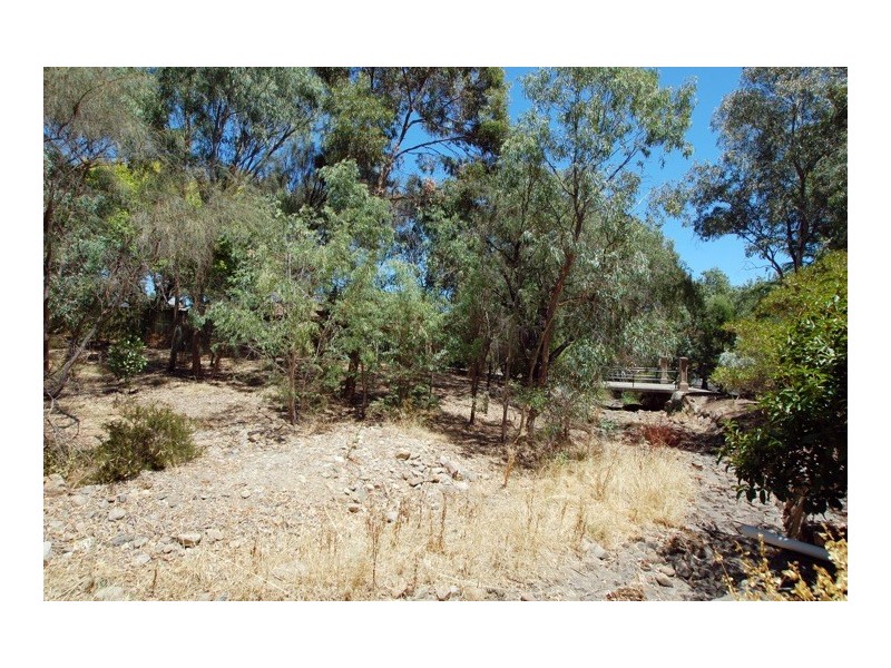 3 Melory Crescent, Magill SA 5072