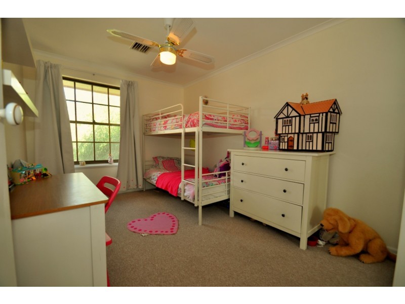 7 Dumphries Street, Flagstaff Hill SA 5159