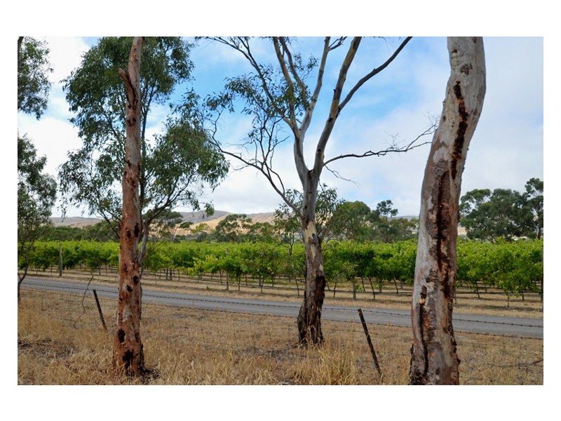 Lot1 Dabblebrook Close (adj Culley Rd), Sellicks Hill SA 5174
