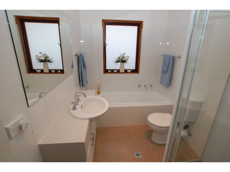 19 Allison Street, Ascot Park SA 5043