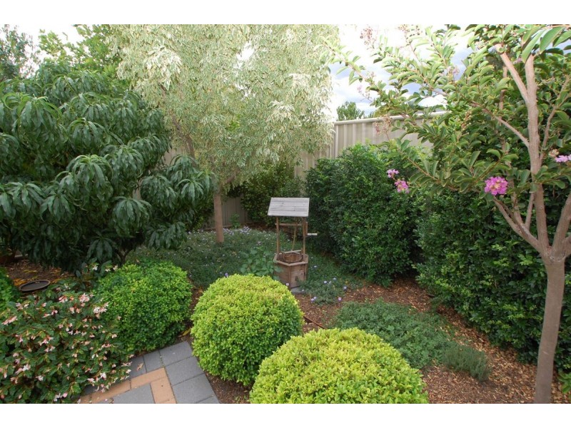 19 Allison Street, Ascot Park SA 5043