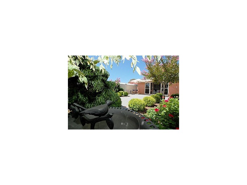 19 Allison Street, Ascot Park SA 5043