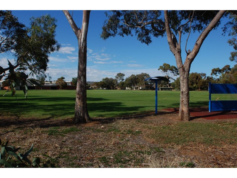 24 Shetland Avenue, Marion SA 5043