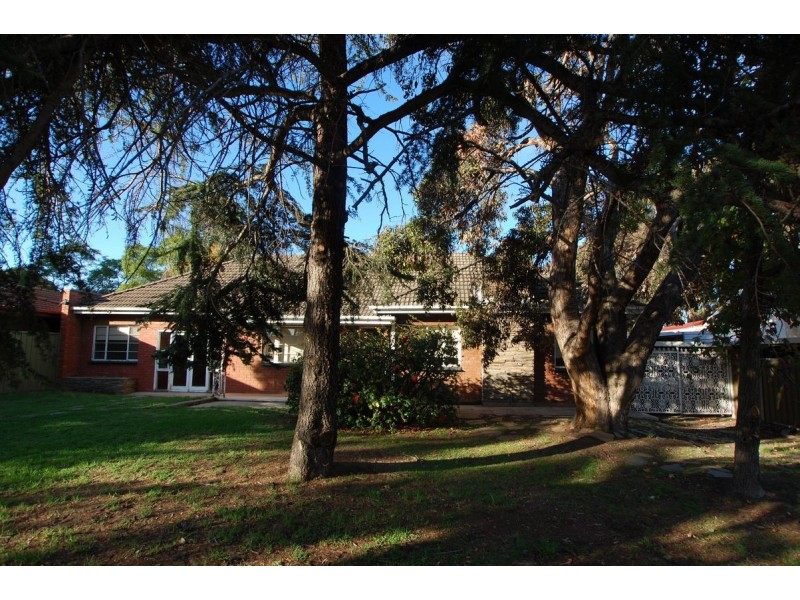 22 Coolah Terrace, Marion SA 5043