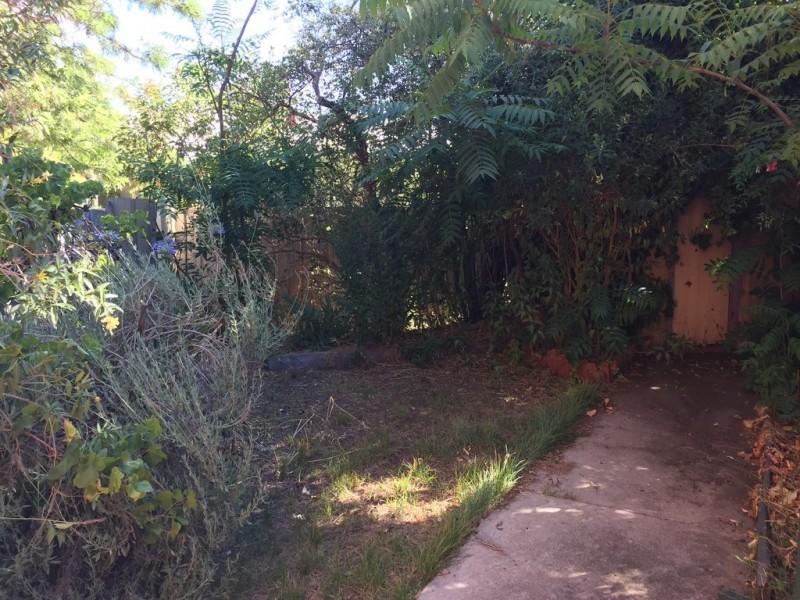 16 Montrose Avenue, Norwood SA 5067