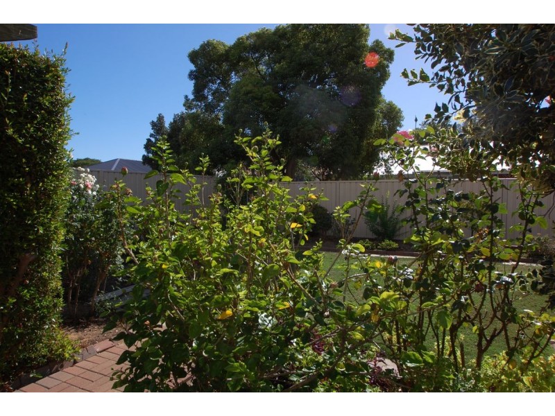 7 Albion Ave, Glandore SA 5037