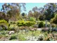 18 Nalya Tarn, Mclaren Vale SA 5171