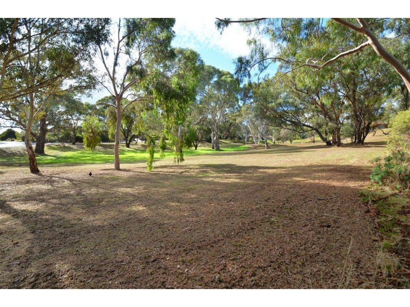 3 Curtis Court, Happy Valley SA 5159