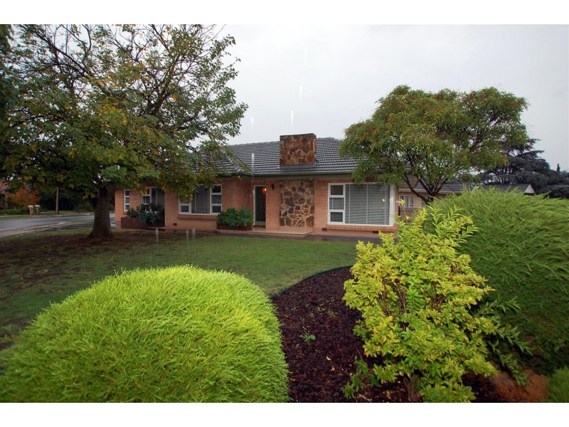 39 Errington Street, Plympton SA 5038