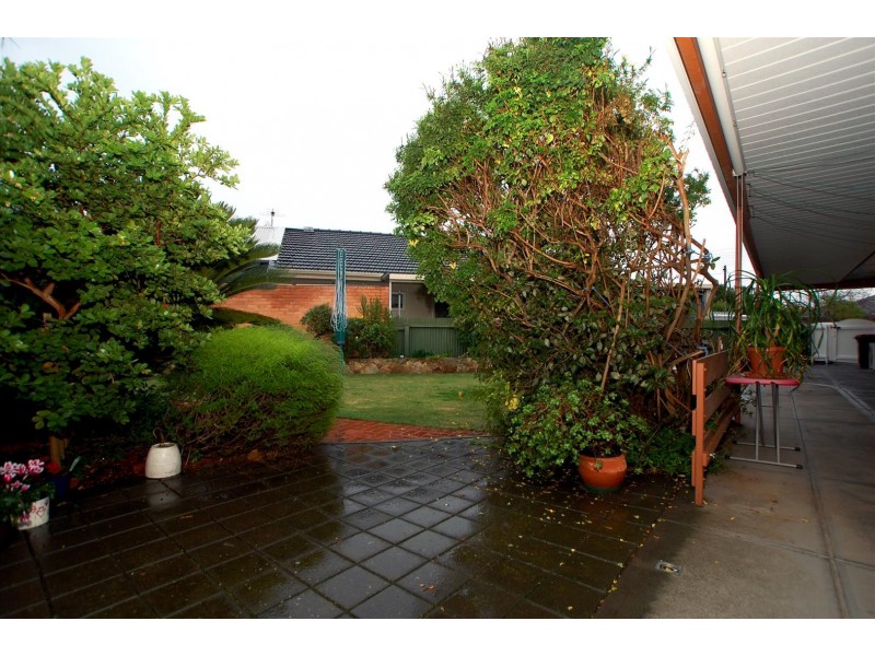 39 Errington Street, Plympton SA 5038