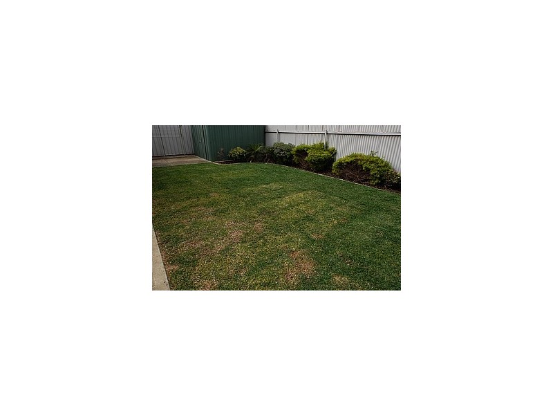 18 Wood Street, Ascot Park SA 5043