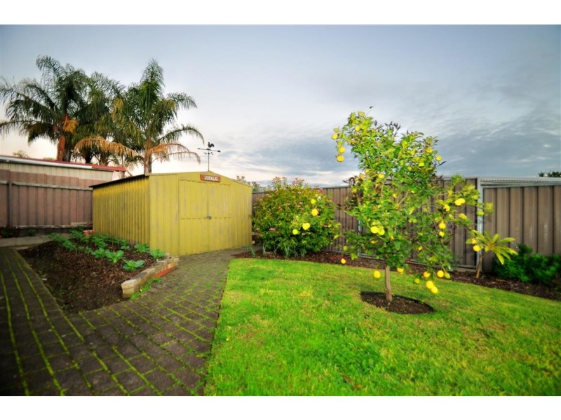 43 Daveys Road, Flagstaff Hill SA 5159