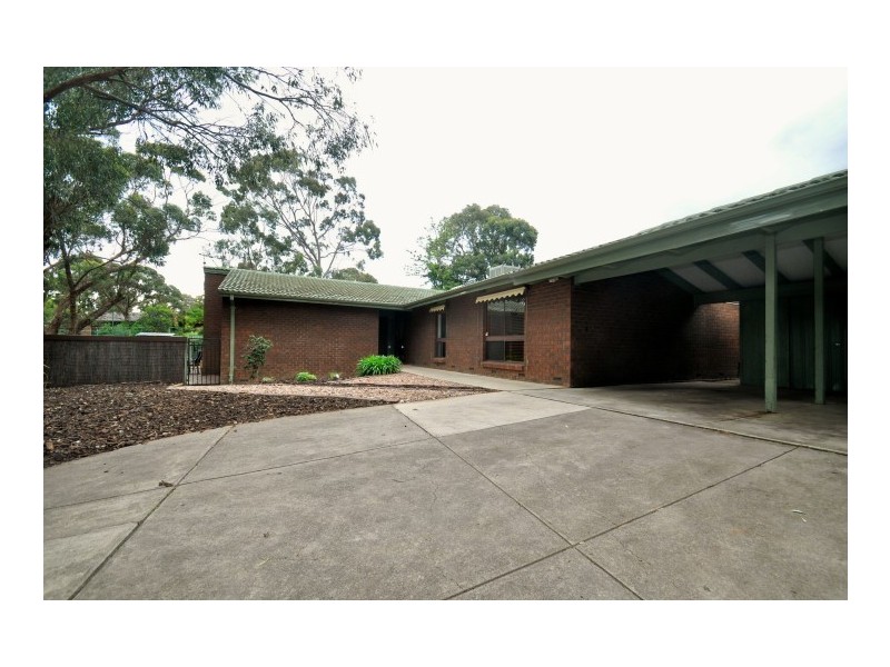 19 Witton Street, Flagstaff Hill SA 5159