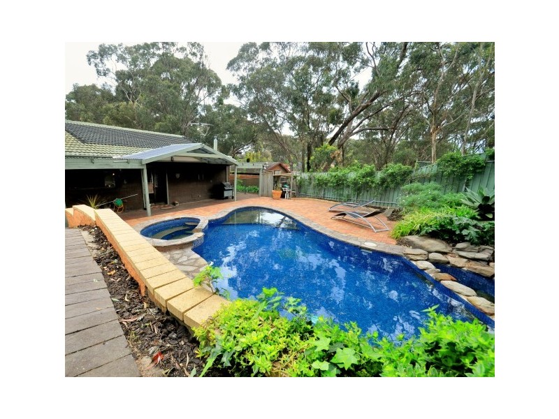 19 Witton Street, Flagstaff Hill SA 5159