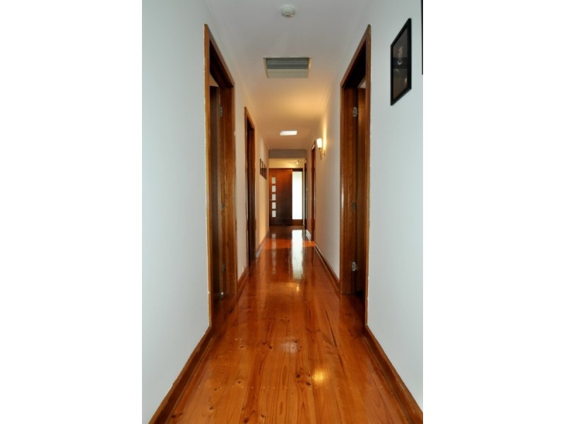 19 Witton Street, Flagstaff Hill SA 5159